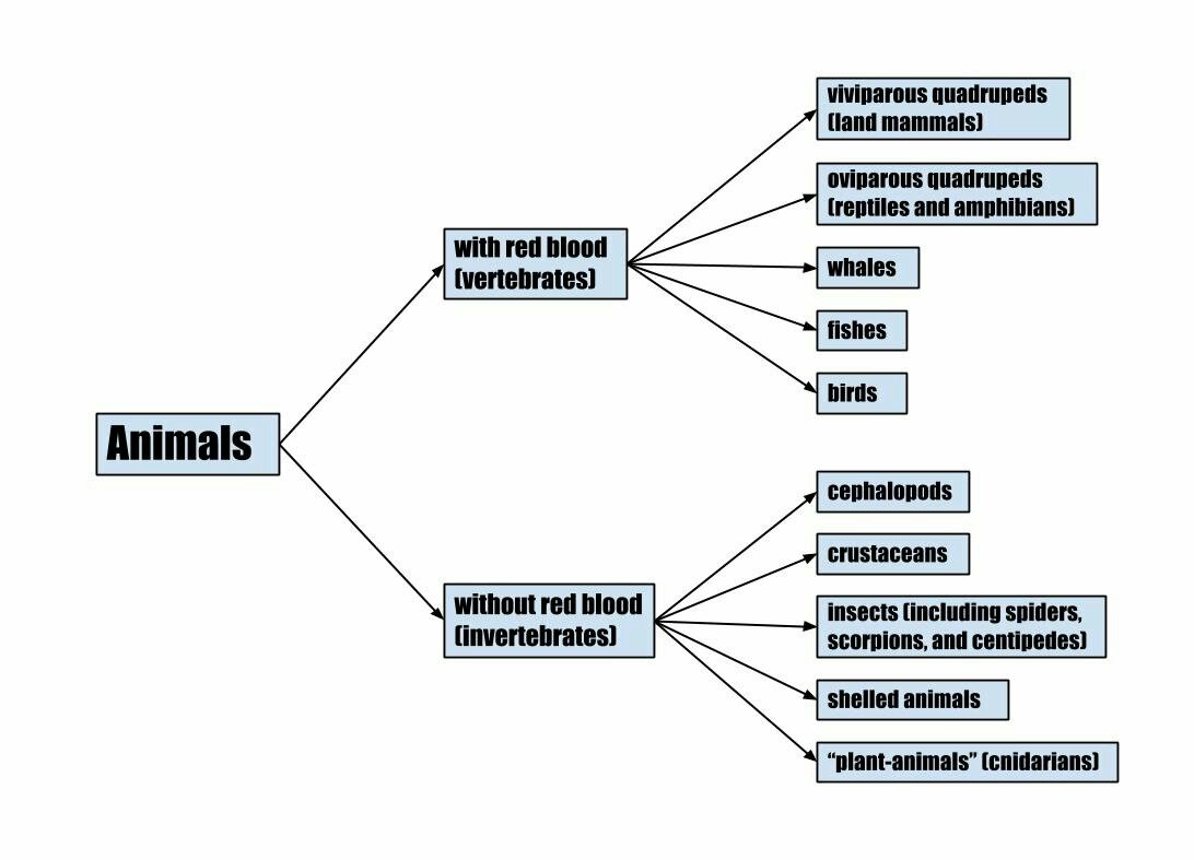2. Biological classification – spmbiology